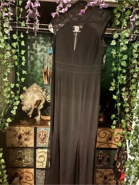 Elegant Black Sleeveless Maxi Dress with Sheer Yoke